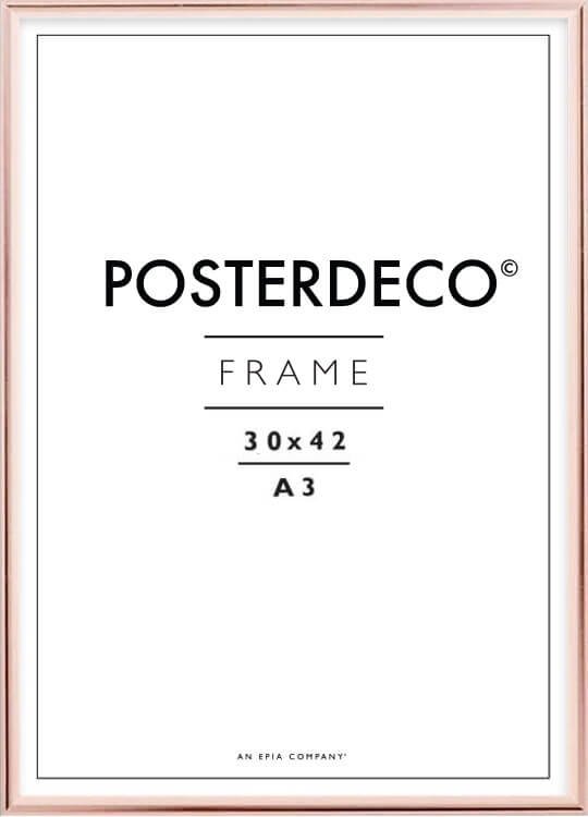 rose-poster-frame-30x40-cm